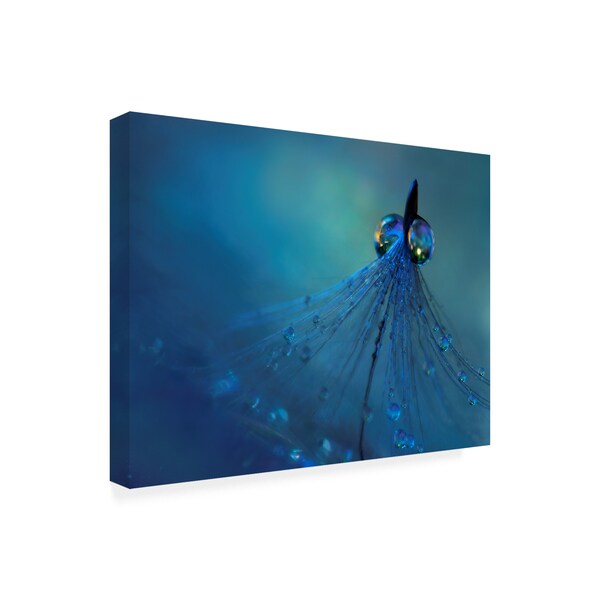 Heidi Westum 'Dancing Into The Blue Night' Canvas Art,35x47